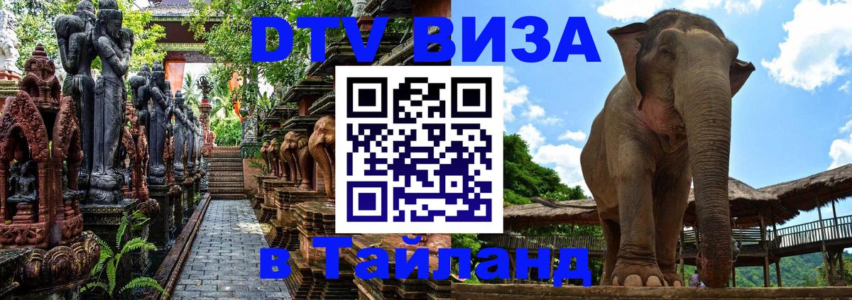 Оформление DTV визы под ключ: стоимость и тарифы, только загранпаспорт - 